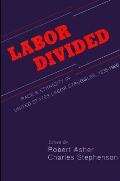 Labor Divided: Race and Ethnicity in United States Labor Struggles, 1835-1960