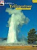 Yellowstone Natures Continuing Story