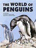 World Of Penguins