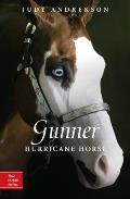Gunner Hurricane Horse