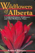 Wildflowers Of Alberta A Guide To Common Wildf