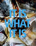 It Is What It Is Recent Acquisitions of New Canadian Art 2010