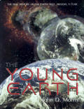 Young Earth