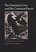 American Crow & The Common Raven