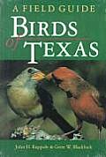 Birds Of Texas A Field Guide