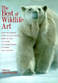 Best Of Wildlife Art 96 Of The Worlds Fi