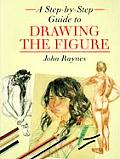 Step By Step Guide to Drawing the Figure