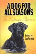 Dog For All Seasons The Labrador Retriev