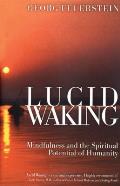 Lucid Waking Mindfulness & the Spiritual Potential of Humanity