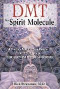 DMT The Spirit Molecule A Doctors Revolutionary Research into the Biology of Near Death & Mystical Experiences