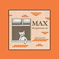 Max the Apartment Cat