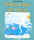 Whats Under The Ocean