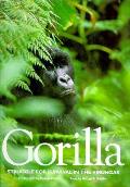 Gorilla Struggle For Survival In The Virungas