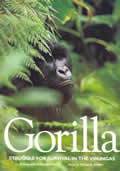 Gorilla Struggle For Survival In The Vir