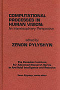 Computational Processes In Human Vision