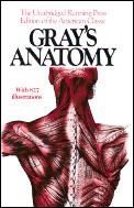 Grays Anatomy