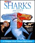 Sharks & Rays A Look Inside
