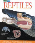 Reptiles Look Inside