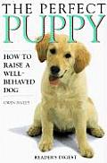 Perfect Puppy How To Raise A Well Behave