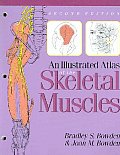 An Illustrated Atlas of the Skeletal Muscles