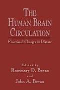 The Human Brain Circulation: Functional Changes in Disease