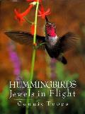 Hummingbirds Jewels In Flight