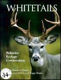 Whitetails Behavior Natural History