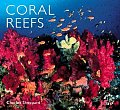 Coral Reefs Ecology Threats & Conservation