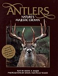 Antlers Natures Majestic Crown
