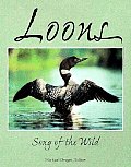 Loons Song Of The Wild An Anthology