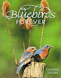 Bluebirds Forever