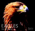 Eagles World Life Library