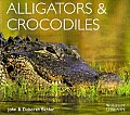 Alligators & Crocodiles