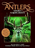 Antlers Natures Majestic Crown