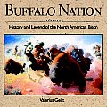 Buffalo Nation History & Legend Of The