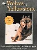 Wolves Of Yellowstone The Inside Story