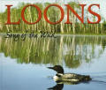 Loons Song Of The Wild