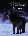 Wolves Of Minnesota Howl In The Heartlan