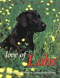 Love of Labs The Ultimate Tribute to Labrador Retrievers
