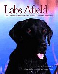 Labs Afield The Ultimate Tribute To The
