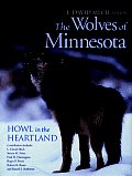 Wolves of Minnesota Howl in the Heartland