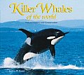 Killer Whales Of The World