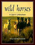 Wild Horses A Spirit Unbroken