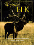 Majestic Elk The Ultimate Tribute To Nor