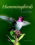Hummingbirds Jewels In Flight