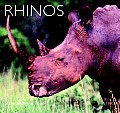 Rhinos Natural History & Conservation