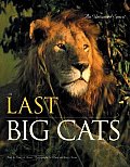 Last Big Cats An Untamed Spirit