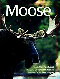 Moose Behavior Ecology Conservation