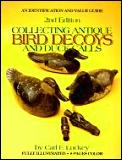 Collecting Antique Bird Decoys 2nd Edition