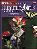 Orthos All About Attracting Hummingbird
